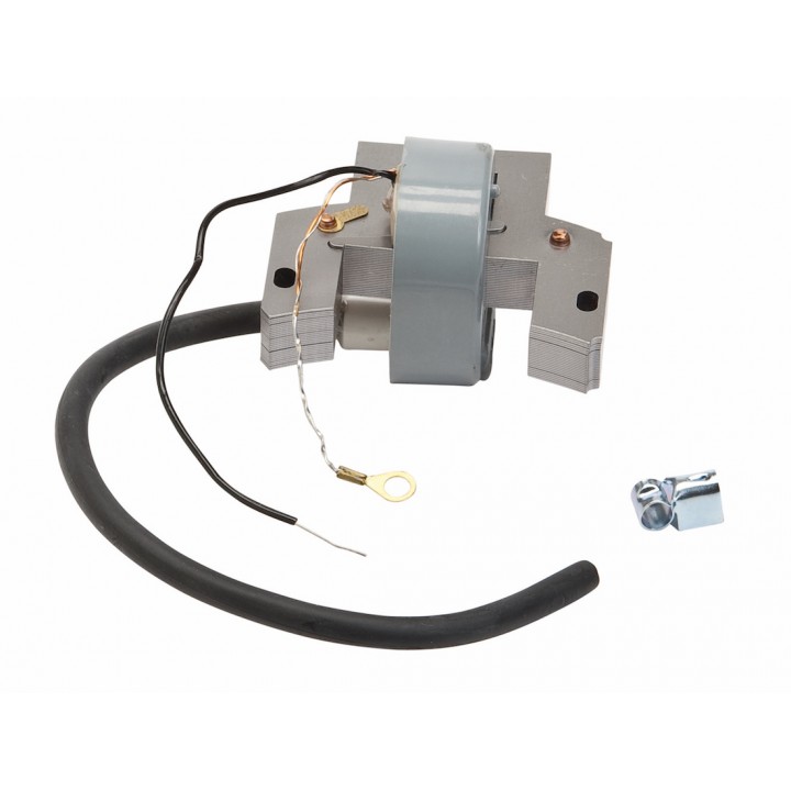 Модуль запалювання B/S (33-362)