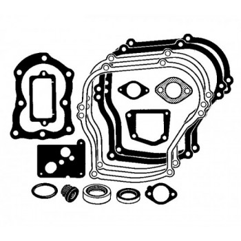 Комплект прокладок B/S (50-411)