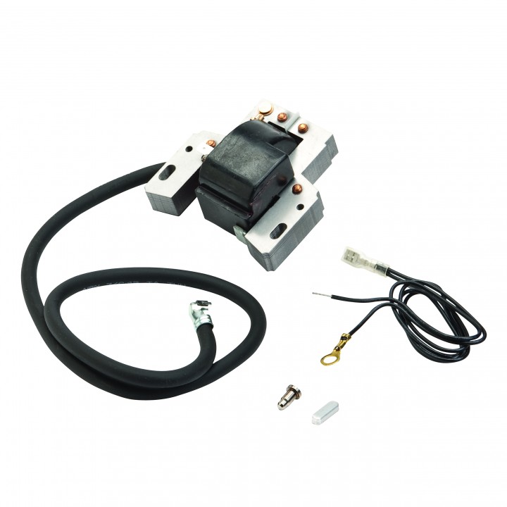 Модуль запалювання B/S (33-344)